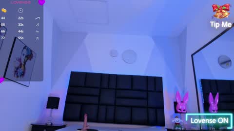 Snapshot of diana_clarck chatting on 12.12.24 Diana Tamayo online show from 12.12.24