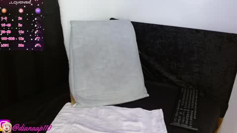 Snapshot of diana_p chatting on 02.22.25 Diana online show from 02.22.25