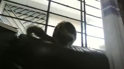 dickeduardo online show from 03.29.26