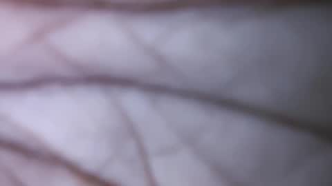 Snapshot of dicks_balls chatting on 12.01.24 Dick balls online show from 12.01.24