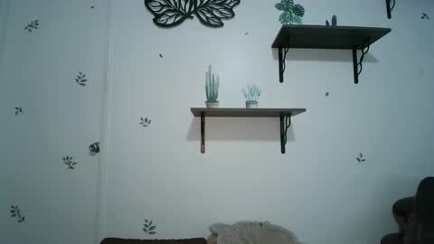 dickslayerdan online show from 01.25.25