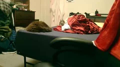 Snapshot of dicksmith99 chatting on 02.15.26 Steve online show from 02.15.26