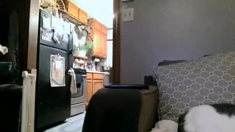 Snapshot of dickwack4u chatting on 01.04.25 dickwack4u online show from 01.04.25