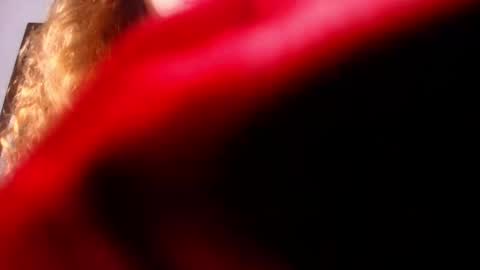 Diane online show from 02.26.25