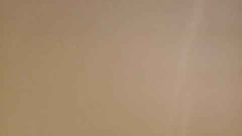 Diego online show from 02.16.25