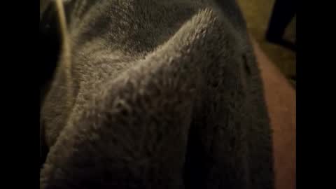 Dilf online show from 01.16.25