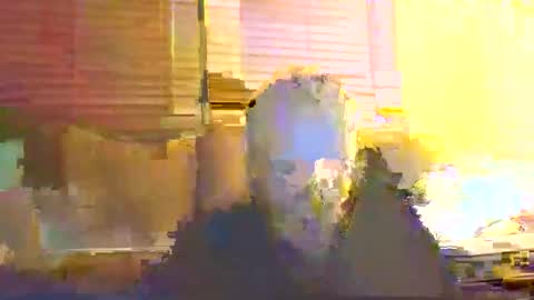 Snapshot of dingleberryjonesmagee chatting on 10.25.25 dingleberryjonesmagee online show from 10.25.25