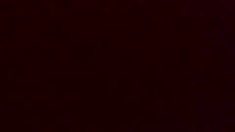 Snapshot of dinglerdingler chatting on 12.14.25 Dingler online show from 12.14.25