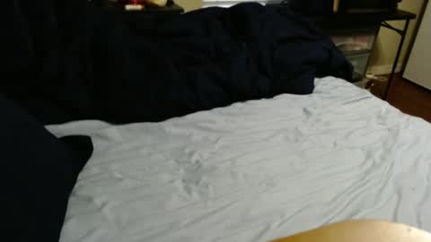 dino695802 online show from 09.11.25