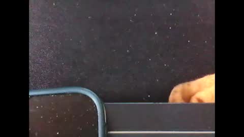 Snapshot of diogominer2 chatting on 11.24.25 diogominer2 online show from 11.24.25