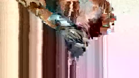 dirtmcgirt82 online show from 02.11.25