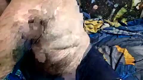 dirtmcgirt82 online show from 04.18.26