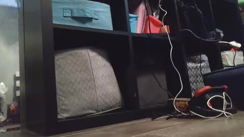 Daisy Wylde online show from 12.27.24