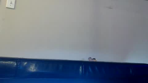 Daisy Wylde online show from 11.14.25