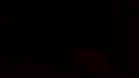 dixienormes online show from 12.08.24