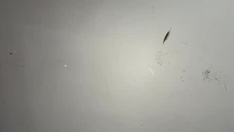 dixkzilla online show from 02.20.26