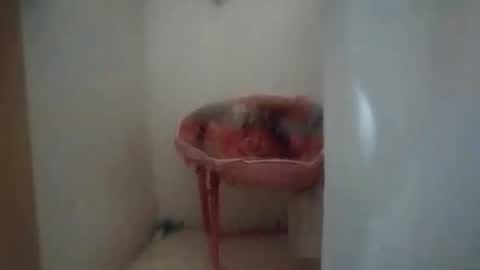 dixonbird41 online show from 10.06.25