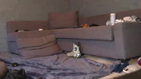 dljockbro online show from 03.07.26