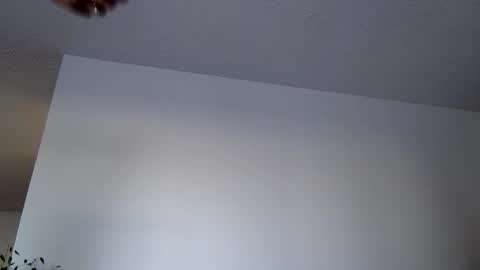 docholliday_95 online show from 11.30.25