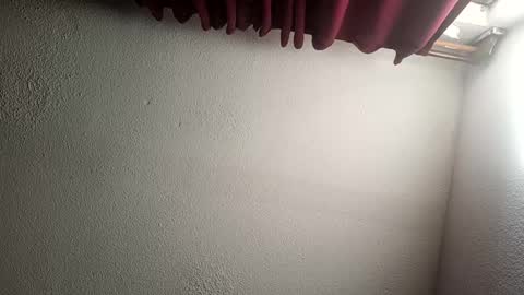 MrPepino online show from 12.15.24