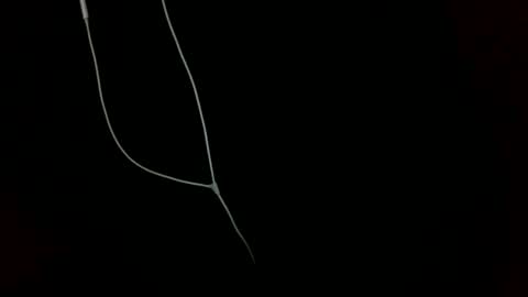 doctor_luv_69 online show from 01.01.25