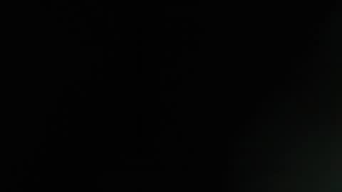 Ludika Santiago online show from 04.01.26