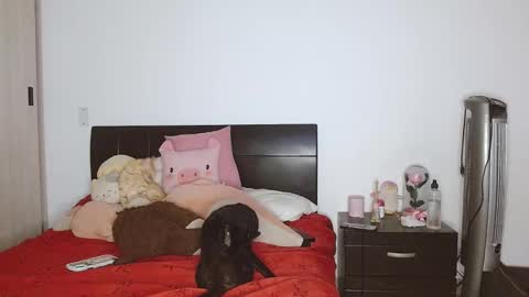 Auro and Santiago online show from 02.24.25