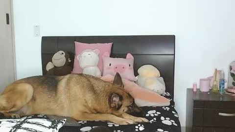 Auro and Santiago online show from 03.04.25