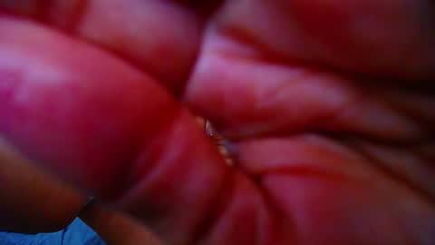  KRISTAL  online show from 03.07.25