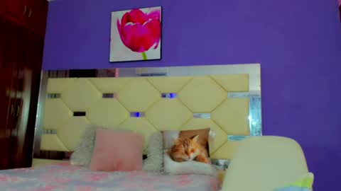 Snapshot of dollcute_latin chatting on 04.15.26 dollcute_latin online show from 04.15.26