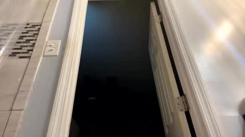 Snapshot of dolphin22356 chatting on 02.24.26 Ben Dover online show from 02.24.26