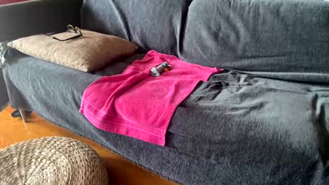 Alfredo online show from 09.11.25