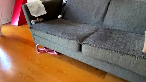 Alfredo online show from 09.24.25