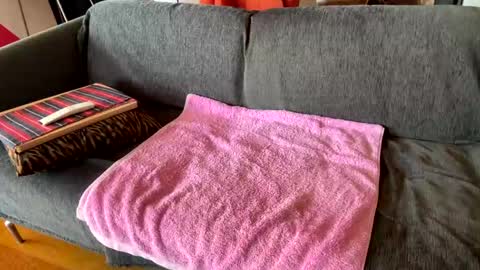 Alfredo online show from 04.06.26