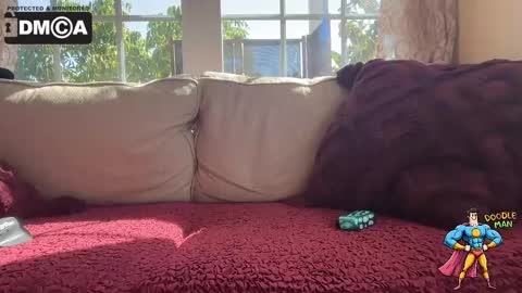 doodleman2077 online show from 10.07.25