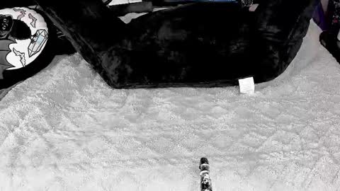 Snapshot of doomednympho chatting on 03.04.25 DOOM online show from 03.04.25