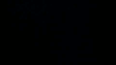 menu  below online show from 02.14.25