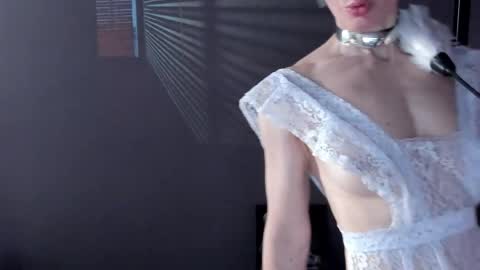 Dorothy Next stream on Monday at 3am-9am online show from 04.18.26