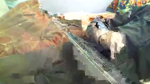 Hello  welcome to Slutsville  I am the Naked Chef  really  but you may call me Peter online show from 04.18.26