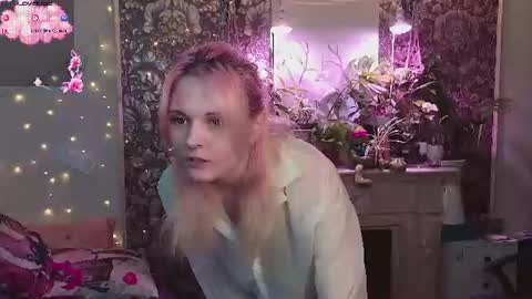 DiBi online show from 07.07.26