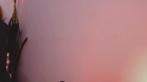 drake_cole11 online show from 02.04.25