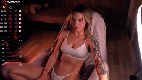 Snapshot of dreamaise chatting on 12.13.24 Mary pvt open use pink and blue app lovense online show from 12.13.24