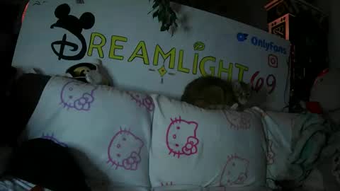 Dreamlight online show from 01.26.25