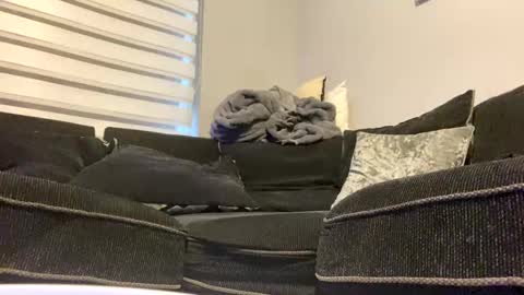 drippinggenie online show from 12.26.24