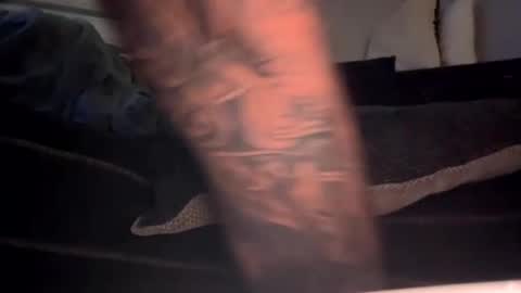 drippinggenie online show from 01.03.25