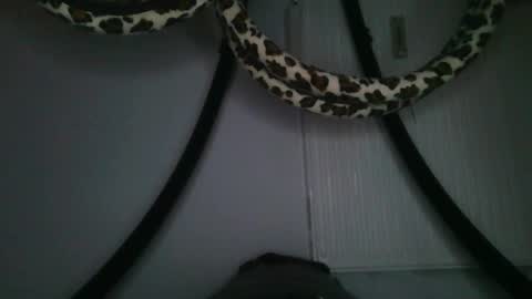 drolyts online show from 02.25.26