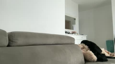 Snapshot of drresa chatting on 10.18.25 Dr. Resa online show from 10.18.25