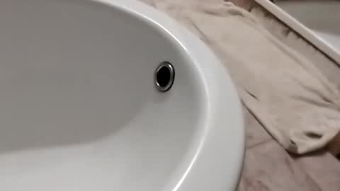 Snapshot of dthedog12 chatting on 11.01.25 dthedog12 online show from 11.01.25