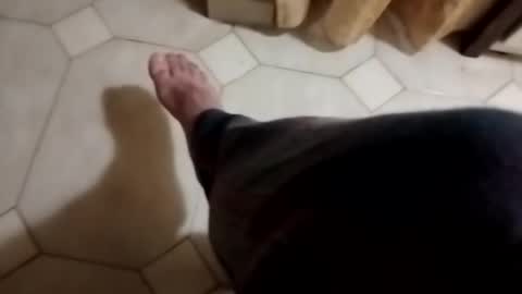 Snapshot of dthedog12 chatting on 11.04.25 dthedog12 online show from 11.04.25