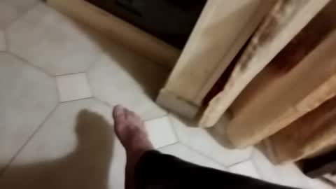 Snapshot of dthedog12 chatting on 11.08.25 dthedog12 online show from 11.08.25